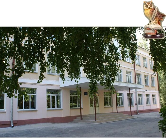 Г омск школа 41. Школа 23 города омска. Школа 27 омск. 30 школа омск амур 2 новая. Школа омск блюхера школа 61.