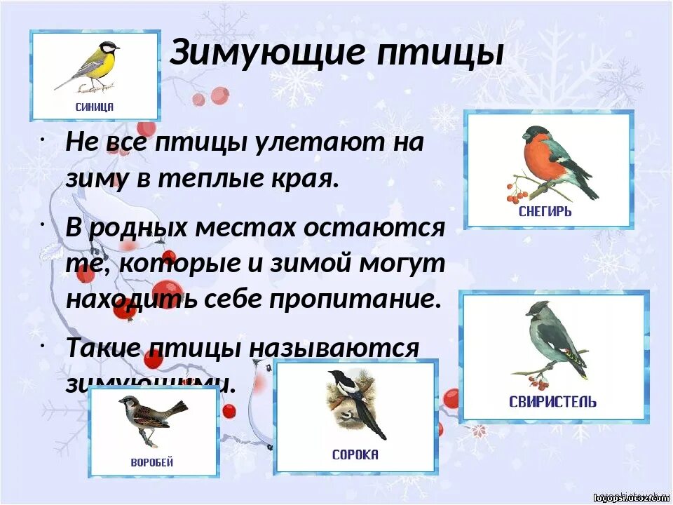 Улетели какое время