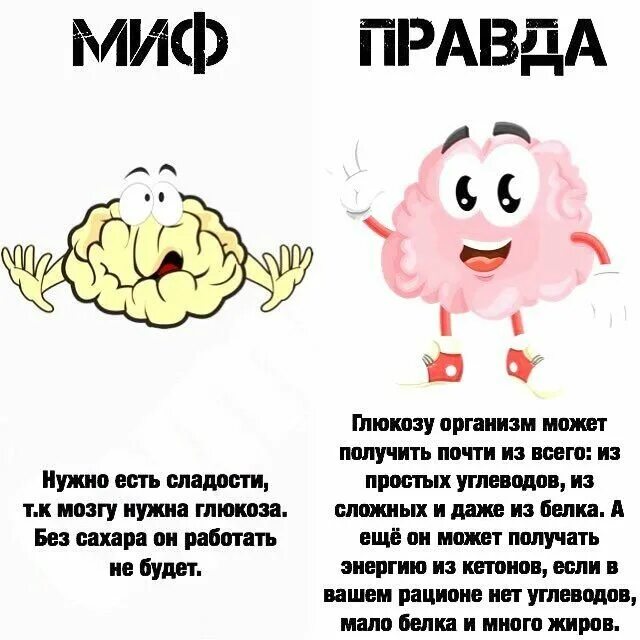 Правда ли что нужно. Мифы о мозге. Миф/правда про мозг. Миф правда сахар. Факты и мифы о мозге.