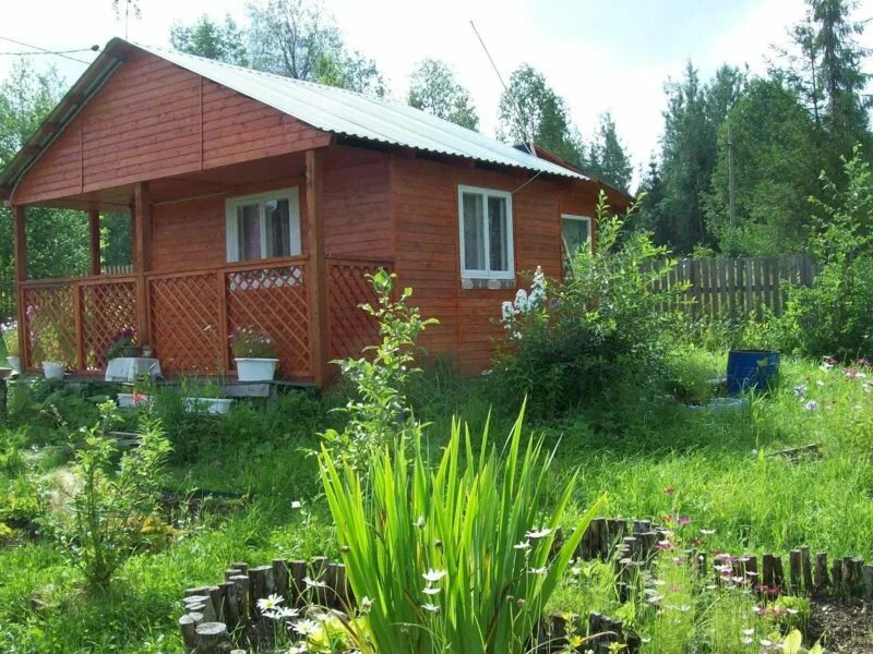 Дом дача сыктывкар. Недвижимость дачи. дача 30 кв.м. дырносские дачи. дачи сыктывкар.