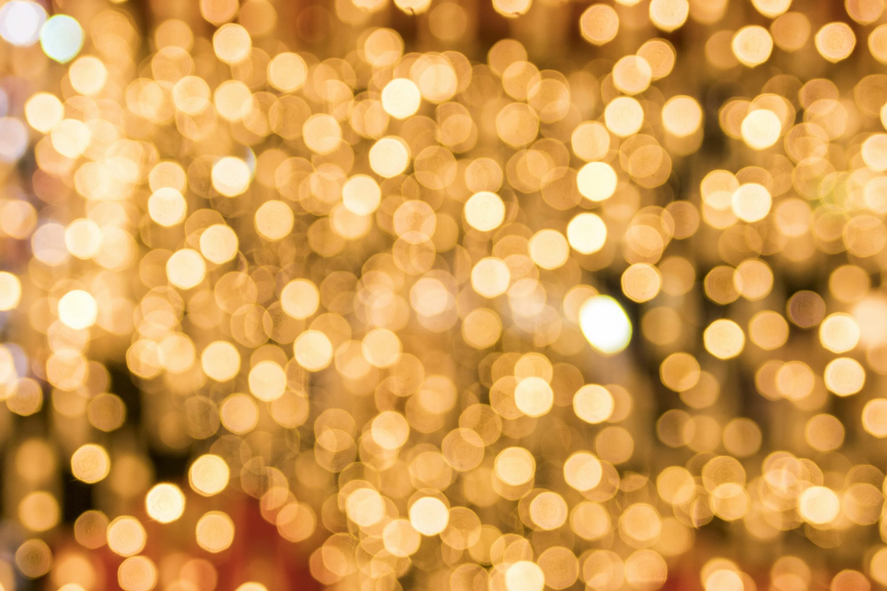 Vidio bokeh