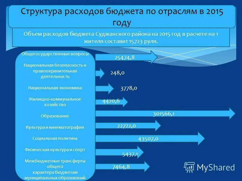 бюджет государства. бю. принципы формирования расходов бюджета.