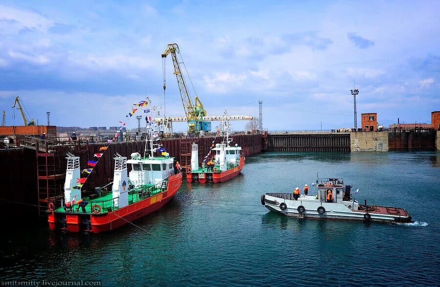 Дальзавод владивосток. Ливадийский ремонтно-судостроительный завод. Феско магадан судно. Рн приморье танкер. Амурский судостроительный завод.