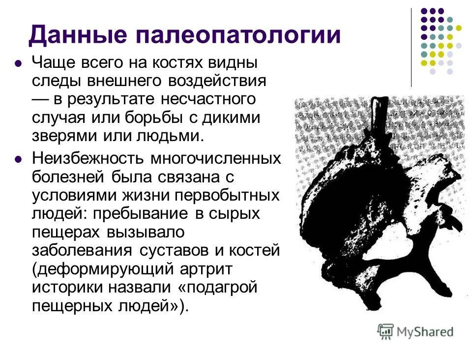 данные палеопатологии. изучает патологические изменения тканей первобытного человека. что изучает палеопатология. что изучает палеопатология. палеопатология изучает история медицины.