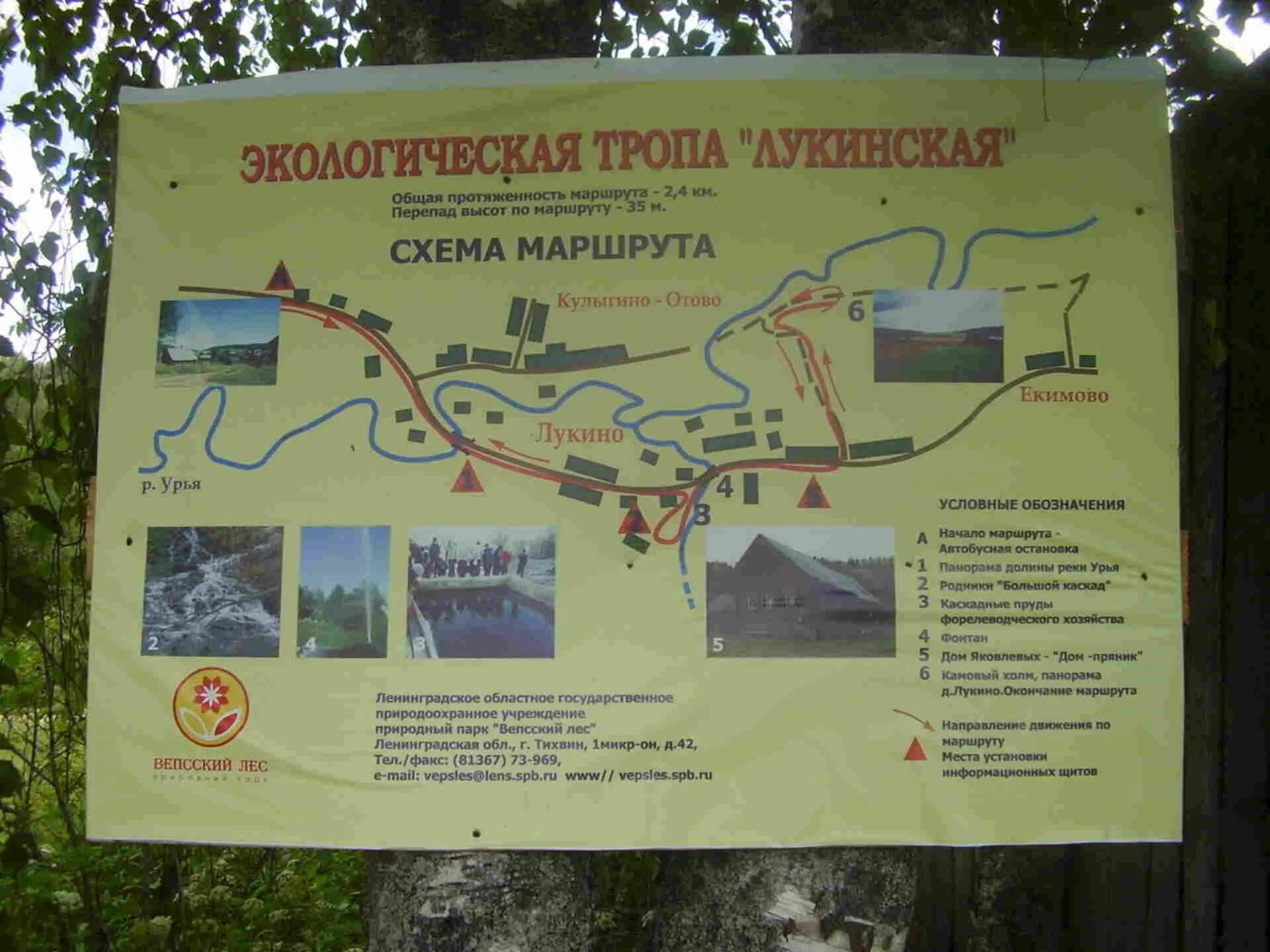 Вепские болота на карте. Вепский лес на карте. Курбинская тропа вепсский лес. Вепский лес на карте. Вепский лес на карте.