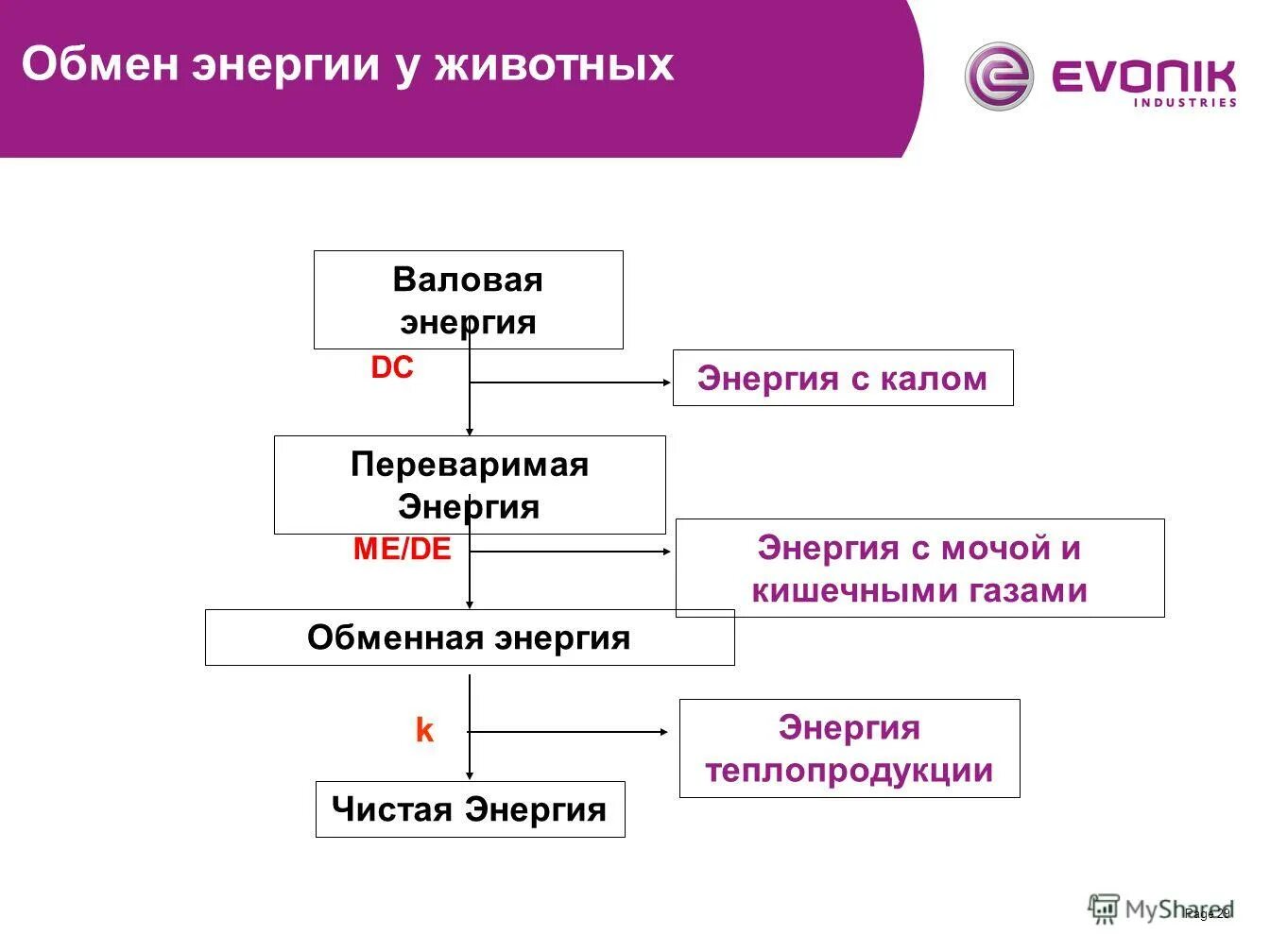 Обмен энергии у животных. Теплопродукция обменная энергия. Валовая энергия корма. Переваримая энергия корма формула. Валовая энергия