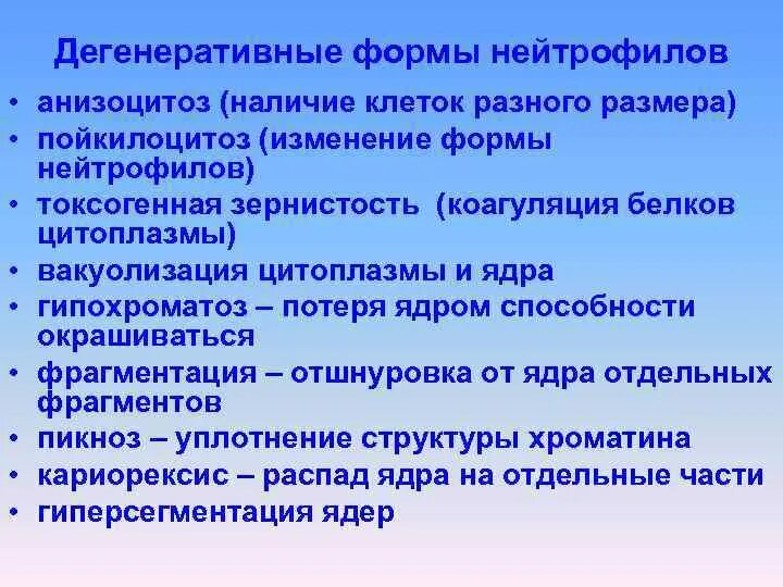 Гиперсегментация ядер нейтрофилов. Дегенеративные формы нейтрофилов. гиперсегментация ядер нейтрофилов характерна для. причины гиперсегментации нейтрофилов. к дегенеративным изменениям в нейтрофилах относят:.
