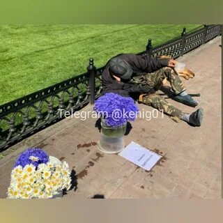 Взяли 45 гвоздик