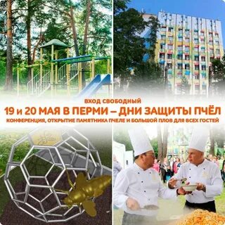 День пчелы 20 мая