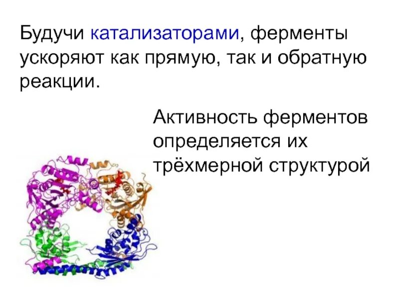 Активность фермента определяется. Ферменты увеличивают скорость реакции. Ферменты увеличивают скорость реакции, так как:. Ферменты ускоряют прямую и обратную реакции.