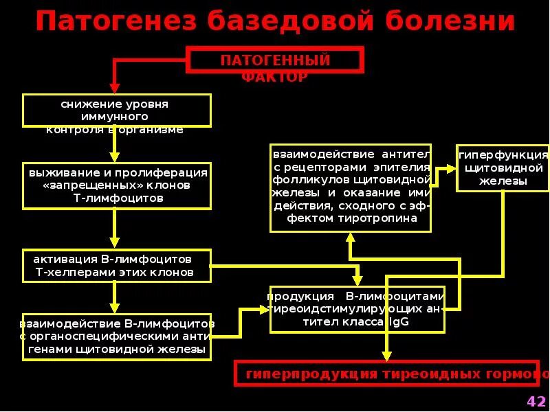 Исходы патогенеза. Диффузный токсический зоб патогенез. Тиреотоксикоз патогенез. Болезнь Грейвса патогенез. Базедов зоб патогенез.