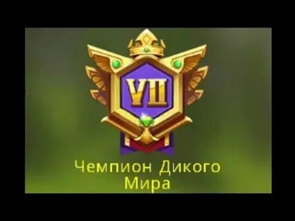 Вилд чемпион
