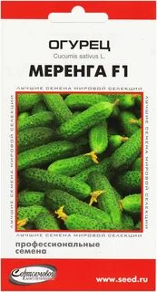 Огурец меренга описание отзывы