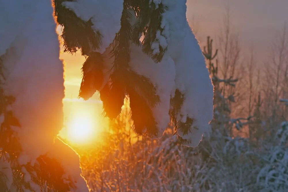 книга холодное солнце. книга крестовский холодное солнце. холод и солнце. история холодное солнце. холодное солнце краткое содержание.