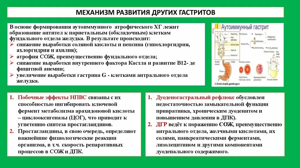 антитела к париетальным клеткам норма. антитела к париетальным клеткам желудка. антитела к париетальным клеткам желудка норма. антитела к париетальным клеткам желудка результат анализа. антитела к париетальным клеткам желудка показатели.
