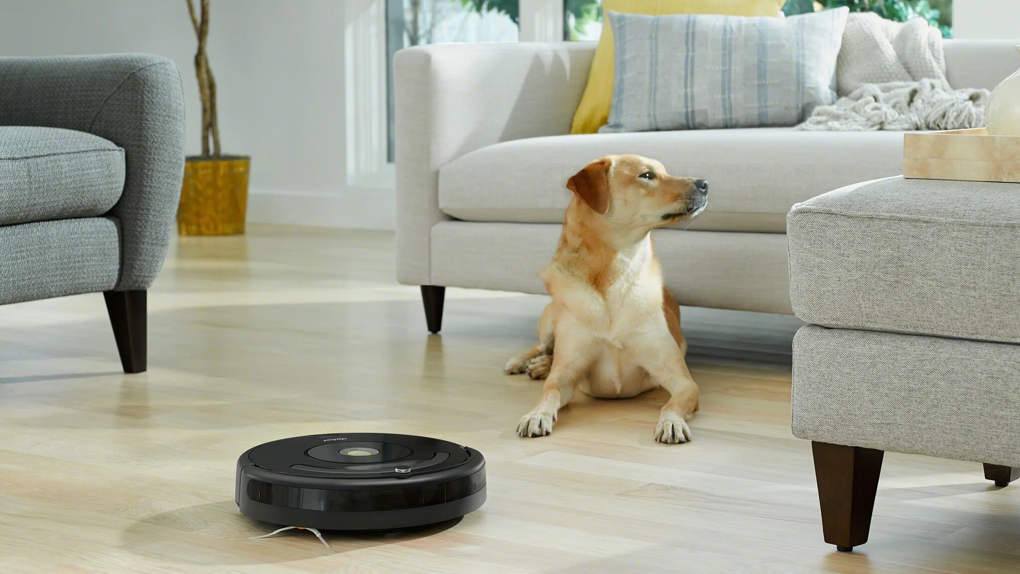 Пылесос какашка. Робот пылесос Румба 600. Зарядка для IROBOT Roomba. Робот пылесос от шерсти животных. Пылесос для собак.