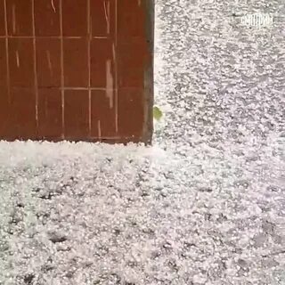 Обильно выпадают