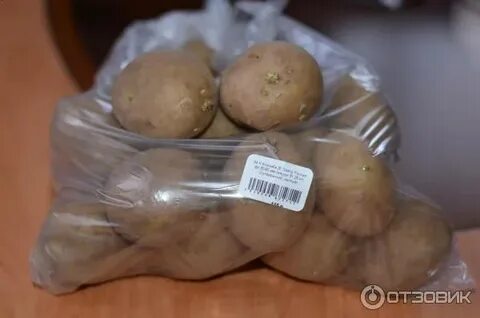 Картофель сорт коломбо отзывы вкусовые качества