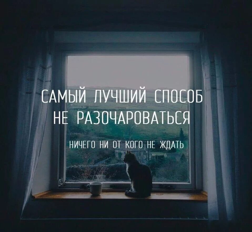 Живи и ничего не жди. Ни от кого ничего не жду. Ни от кого ничего не жду цитаты. Самый лучший способ не разочаровываться ничего ни от кого не ждать. Самый лучший способ не разочаровываться.