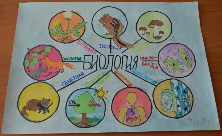 Стенгазеты по биологии рисунки. Стенгазета по биологии. Газета по биологии неделя биологии. Плакаты в кабинет биологии. Рисунок на тему неделя биологии.