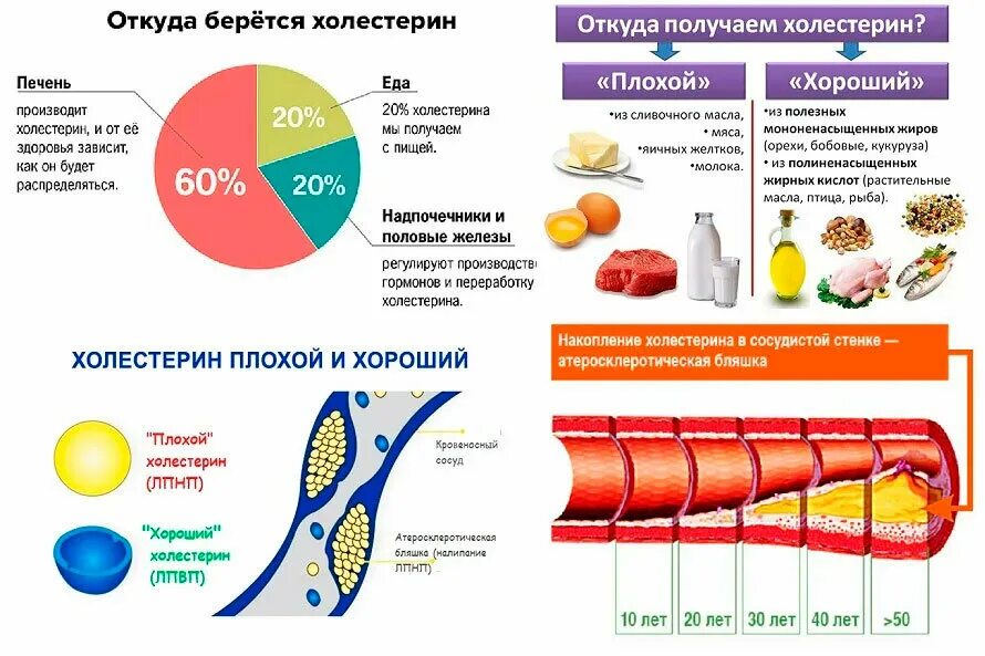 О чем говорит повышенный холестерин в крови. Норма плохого холестерина в организме человека. Нормальный показатель уровня холестерина в крови. Холестерин повышение и снижение. Понижающий холестерин.