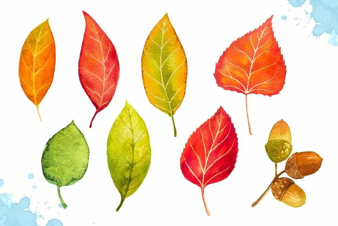 Осенние листочки. Осенние листья акварель. Дерево с цветными листьями. Рисование разноцветные листочки.