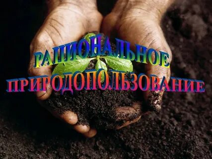 Рациональное природопользование это лесовосстановление создание заповедников мелиорация