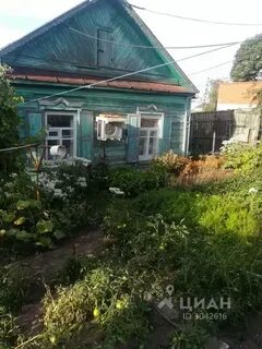 Погода петровск саратовская область асметовка