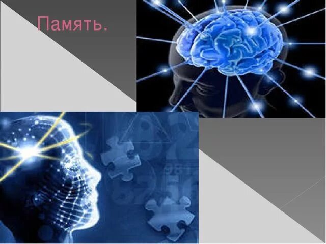 Память биология. Картинки на тему память. Презентация на тему память. Виды биологической памяти. Память биология 8