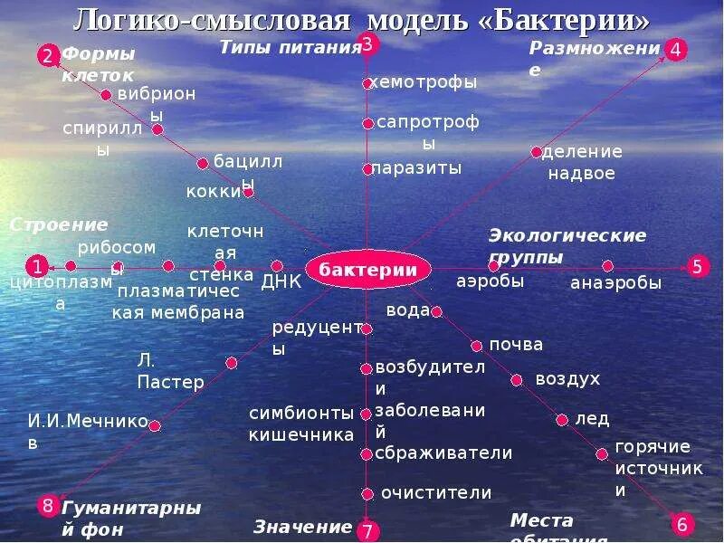 Логико смысловые отношения в предложении презентация. Логико смысловая модель. Смысловые модели. Логико смысловая модель бактерии. Логико смысловая модель урока.