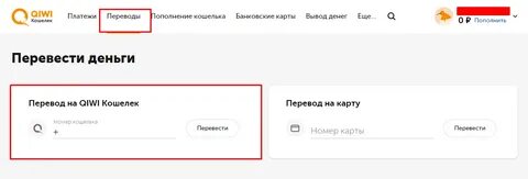 Введите номер кошелька