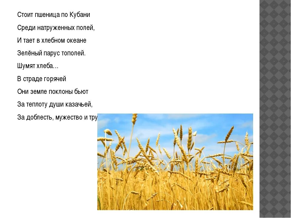 Труженики родной земли 2 класс кубановедение. Стих про Кубань. Стихи о Кубани для детей. Стих про Краснодарский край. Маленький стих про Кубань.