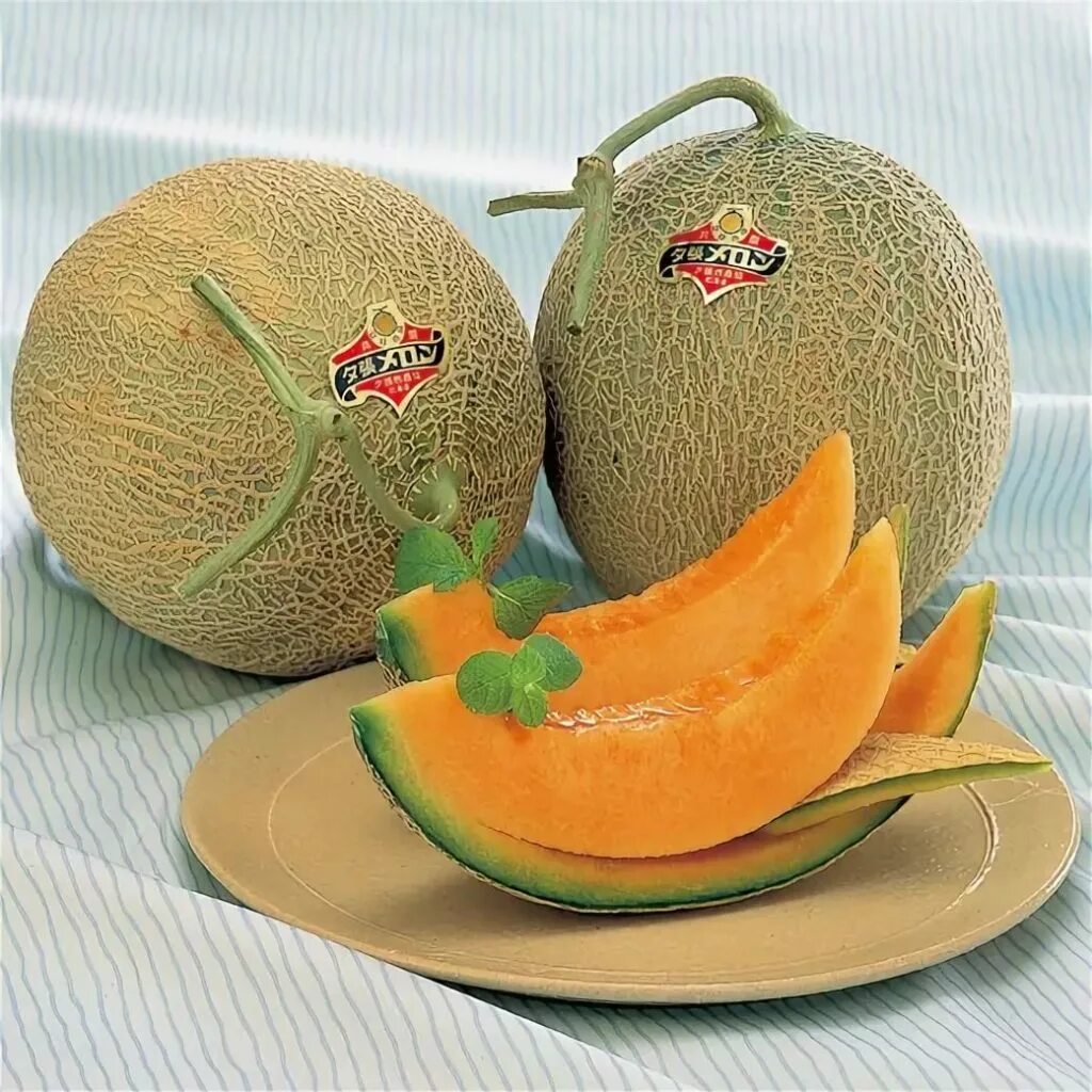 Юбари кинг. Японская дыня юбари. Юбари кинг. Дыня юбари. Дыня юбари кинг.