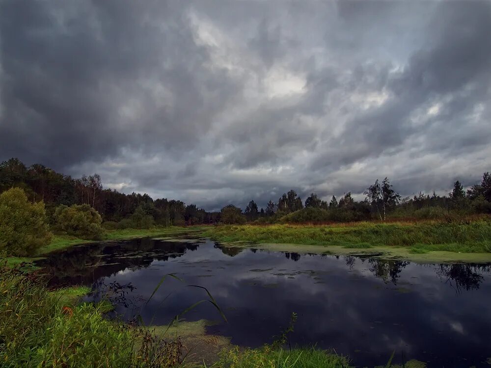 Природа пасмурно. Перед грозой. Мрачный пейзаж. Пасмурный пейзаж. Тамбов тучи перед грозой.