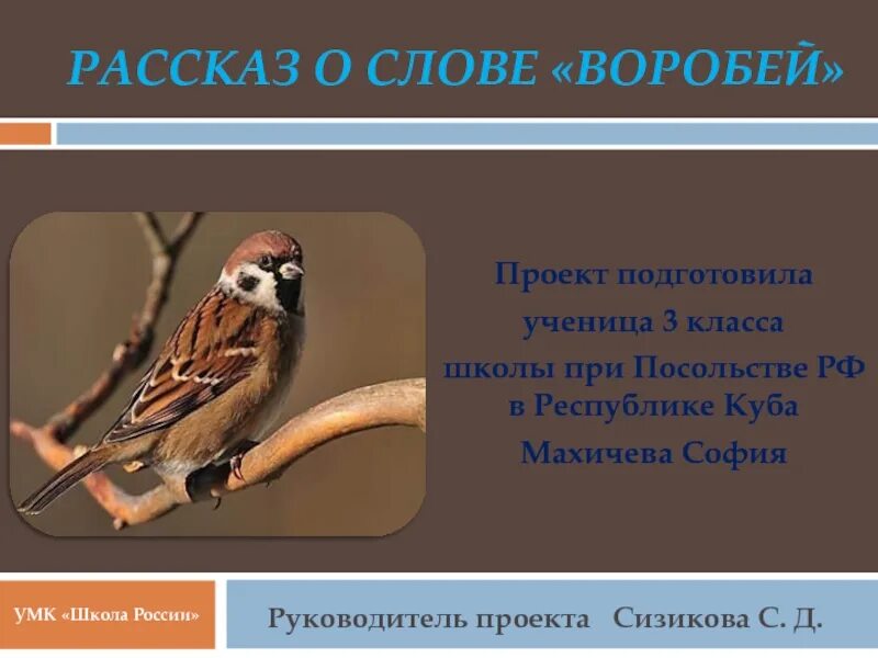 Слово Воробей. Описание воробья. Воробей 3 класс. Рассказ про воробья. Воробей воробьи 2 класс русский язык