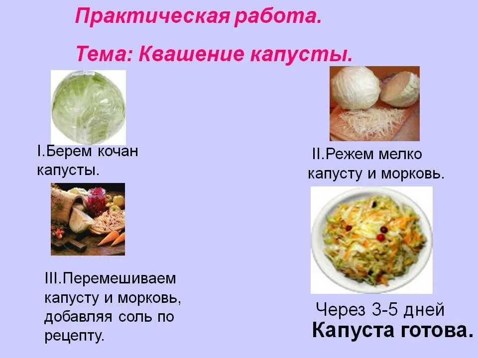 Квашеная капуста дни сколько. Этап приготовления квашеной капусты. Технология квашения капусты. Урок квашение капусты. Презентация квашение капусты.