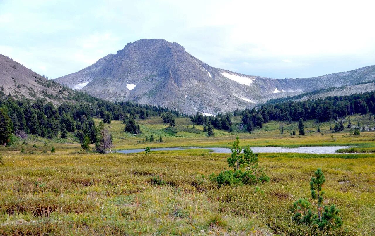 горные районы алтайского края. алтайский заповедник республика алтай. река чарыш алтайский край. чарыш горный чарыш. слюдянка чертова гора.