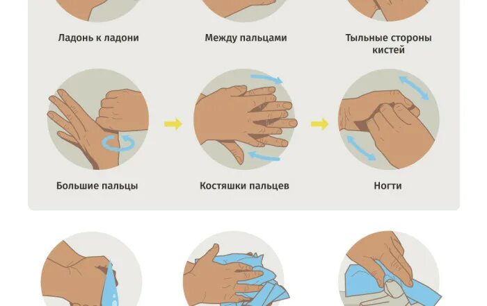 Как правильно мыть таба лапку. Памятка мытья рук. как мыть руки. как правильно мыть руки картинки. памятка по мытью рук для детей.