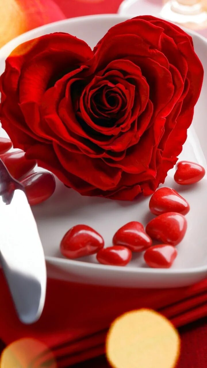 Романтические розы. Красивое сердце. Цветы для любимой. Романтичные цветы для девушки. Красное добро