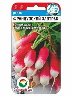 Редис сибири