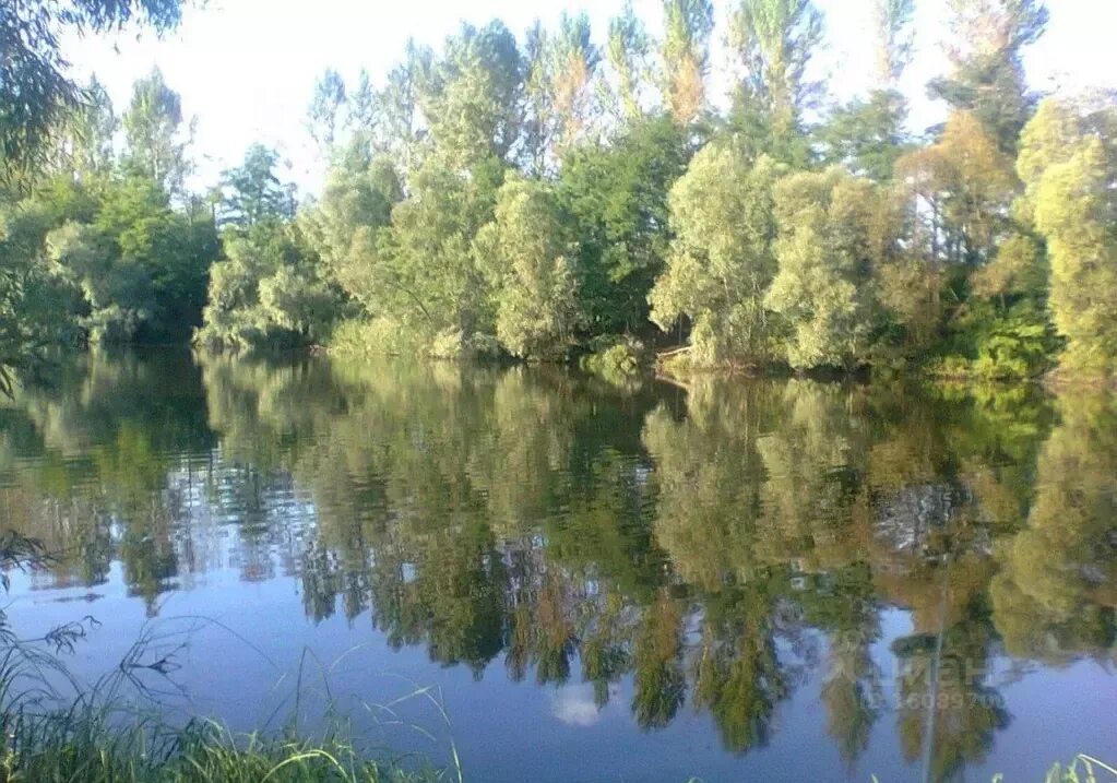 Село новониколаевка красноярский край. Село новониколаевка челябинская область. Новониколаевка озеро. Пруд роговатое белгородская область. Новониколаевка старооскольский.