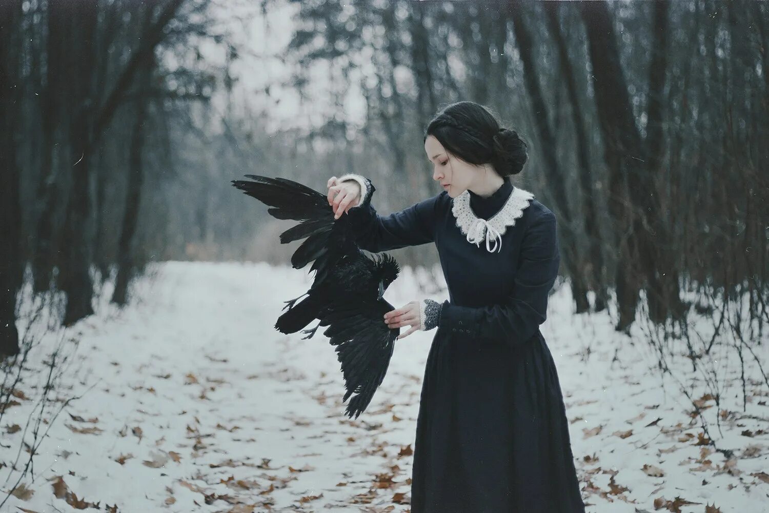 Романс ворон. Natalia Drepina. Фотосессия с вороном. Девушка и ворон. Образ ворона.