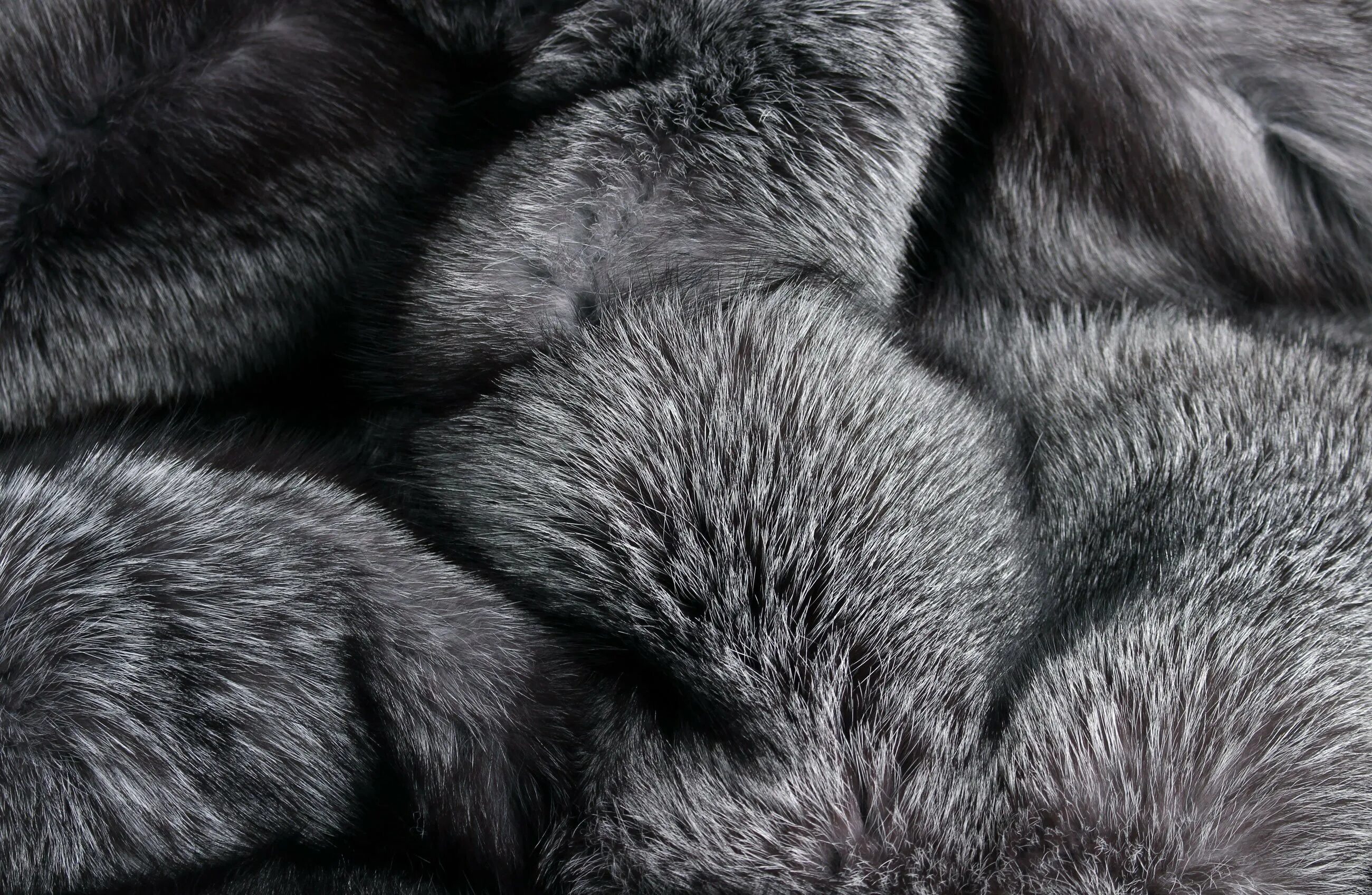 For their fur. Saga furs чернобурка. Мех чернобурки Saga furs. Мех блюфрост. Лиса блюфрост.