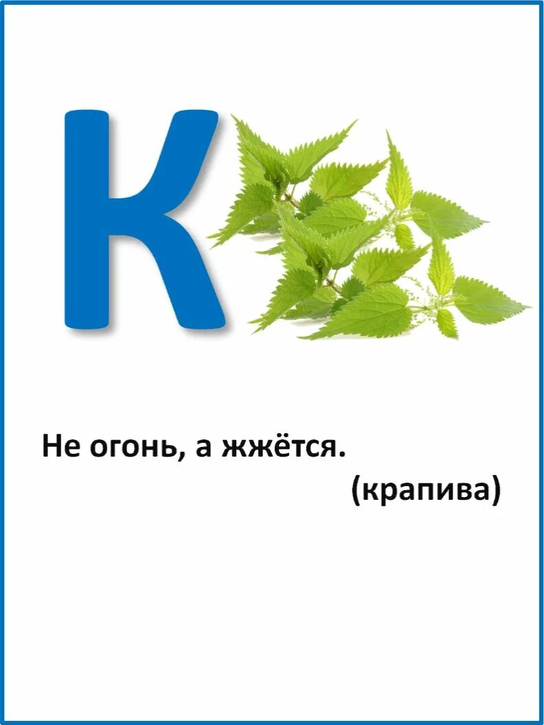 Загадки про буквы. Азбука в загадках. Азбука загадок про растения. Загадки о растениях на букву д. Загадки на букву 2