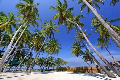 Kaani beach
