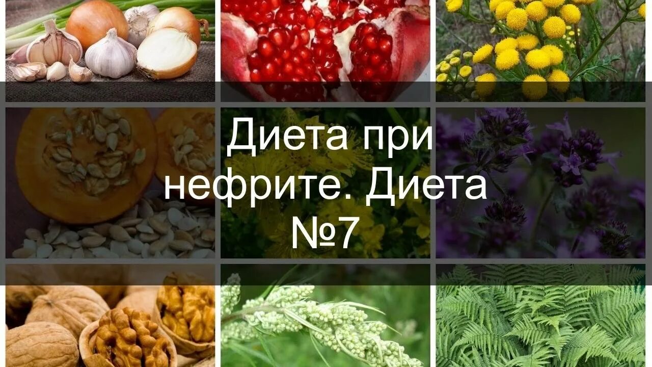 Продукты при заболевании почек. Диета при нефрите. Диетотерапия при заболеваниях почек. Диетическое питание при заболевании почек. Пиелонефрит диета стол.