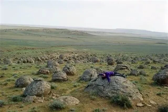 Вокруг тянулась плоская унылая степь восточная