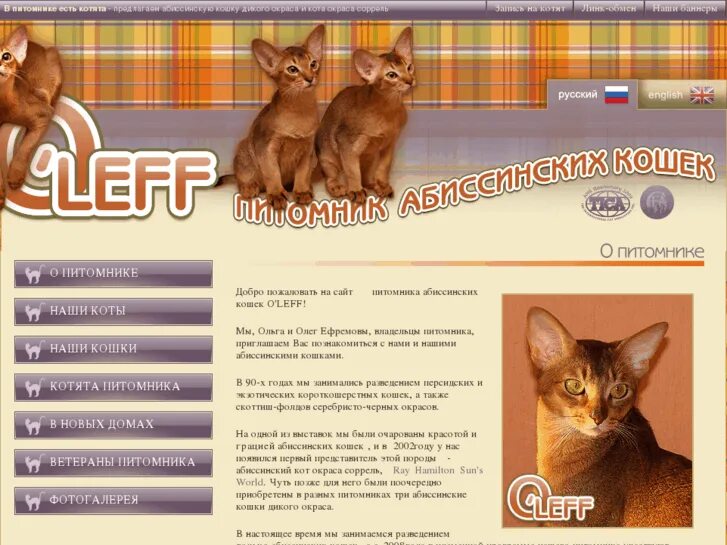 Assoсiation of Feline Clubs - Короткошерстная группа