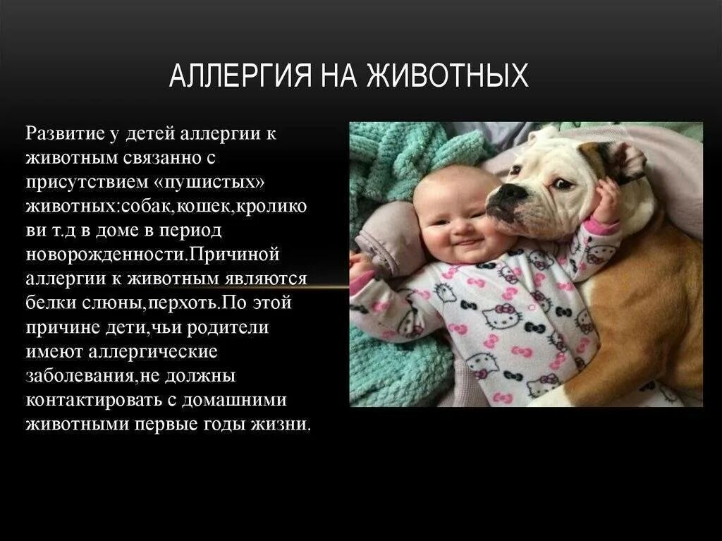 Есть ли аллергия на животных. Аллергия на животных у детей. проявления аллергии на животных. аллергия на животных симптомы. аллергические реакции у животных.