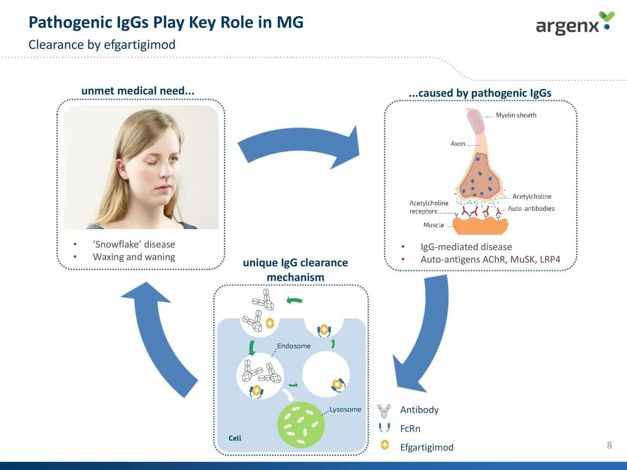 Role keys. Musk миастения. Efgartigimod. Pathogenic транскрипция. Миастения Гравис картинка детей.